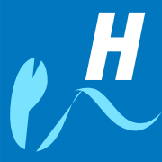custom_website